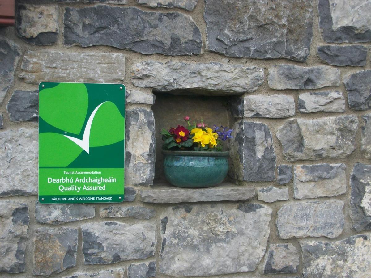 Aille River Tourist Hostel Glamping Doolin Exteriér fotografie